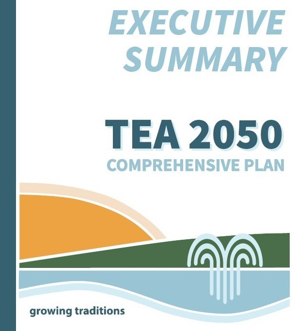 2050 Comp Plan Executive Summary Cover